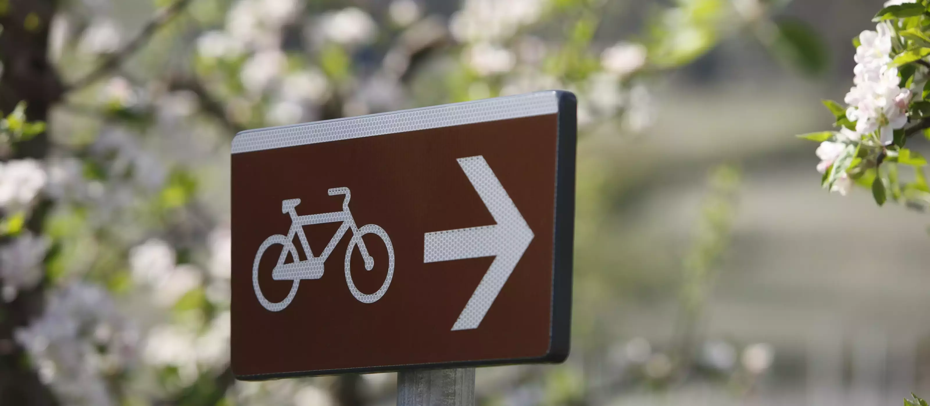Zmailer - Bike